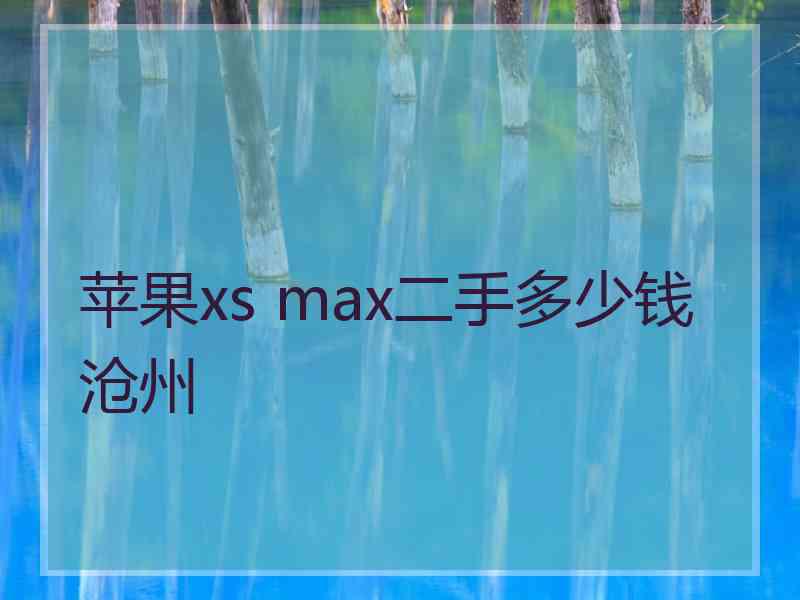 苹果xs max二手多少钱沧州