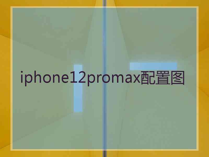 iphone12promax配置图