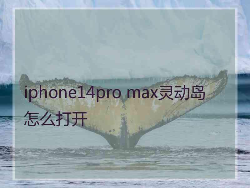 iphone14pro max灵动岛怎么打开