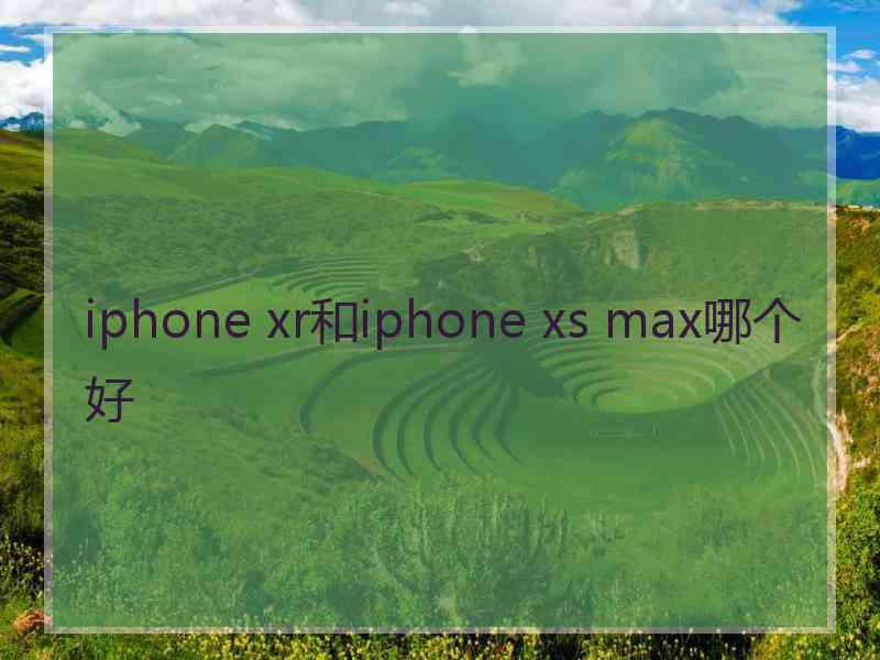 iphone xr和iphone xs max哪个好