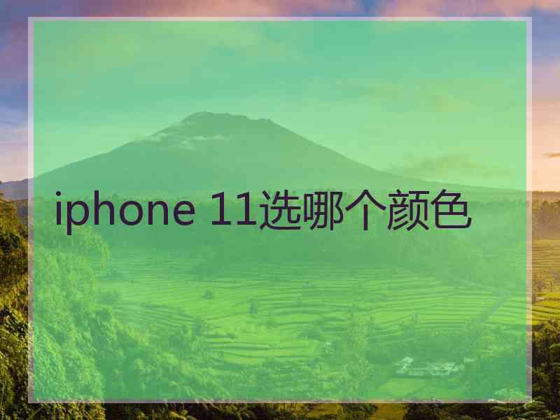 iphone 11选哪个颜色