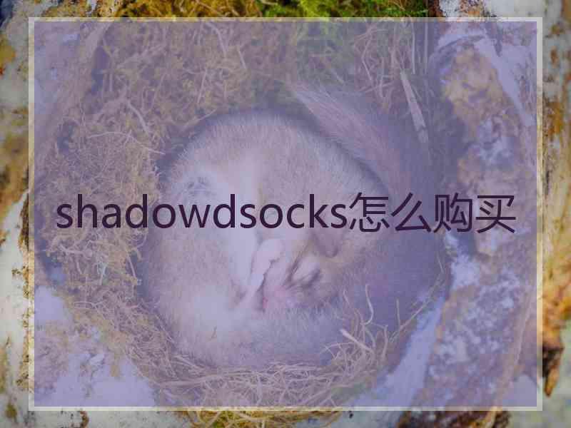 shadowdsocks怎么购买