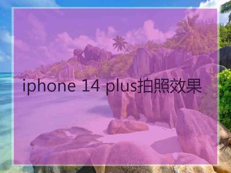 iphone 14 plus拍照效果