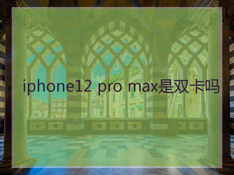 iphone12 pro max是双卡吗