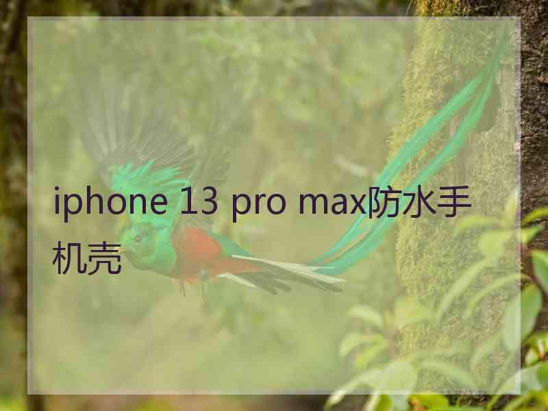 iphone 13 pro max防水手机壳