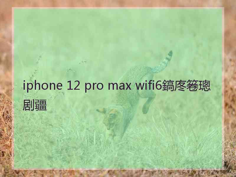 iphone 12 pro max wifi6鎬庝箞璁剧疆