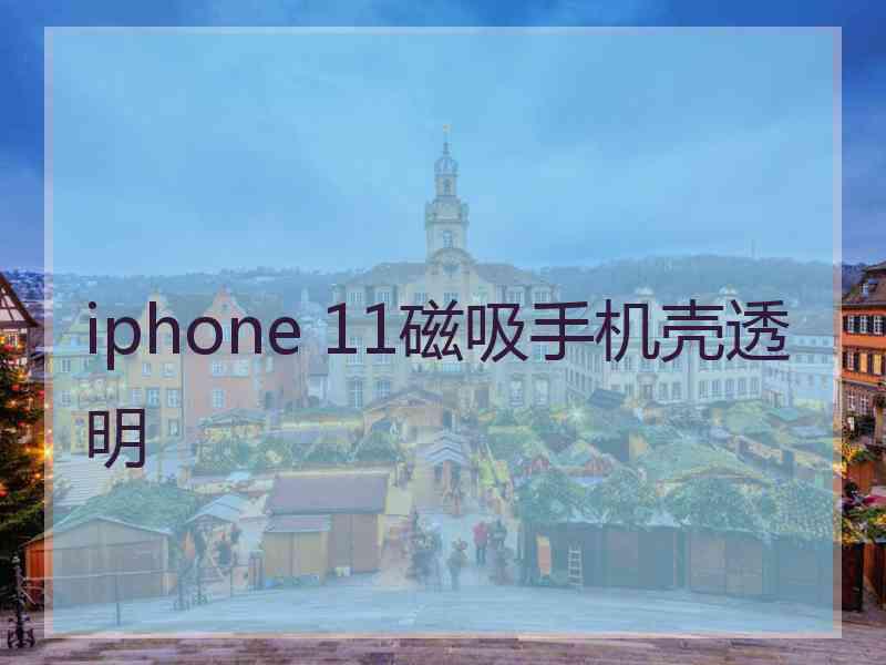 iphone 11磁吸手机壳透明