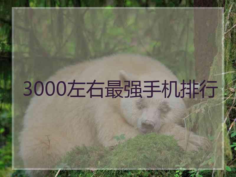 3000左右最强手机排行