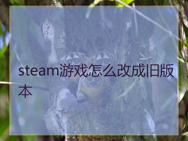 steam游戏怎么改成旧版本