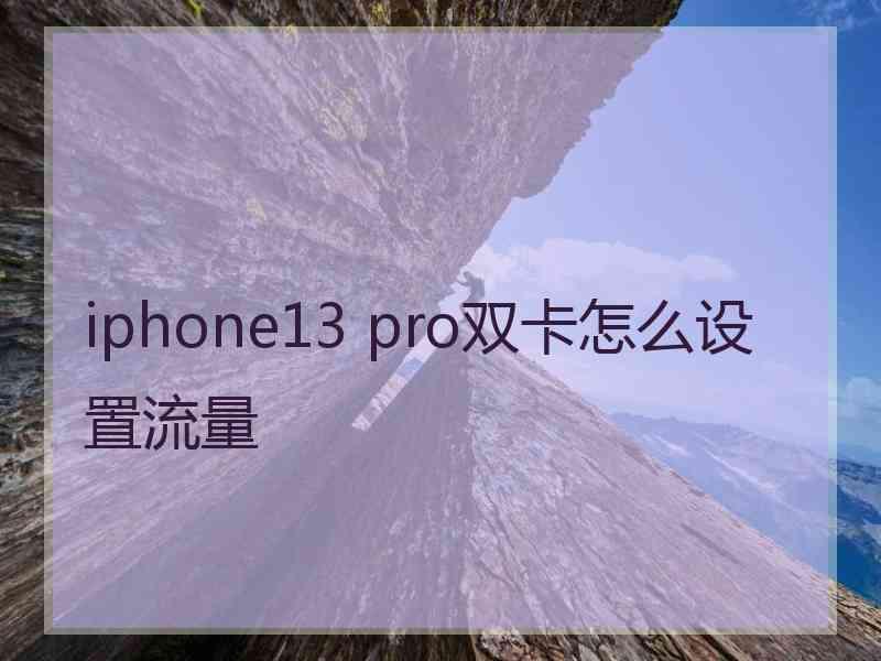 iphone13 pro双卡怎么设置流量