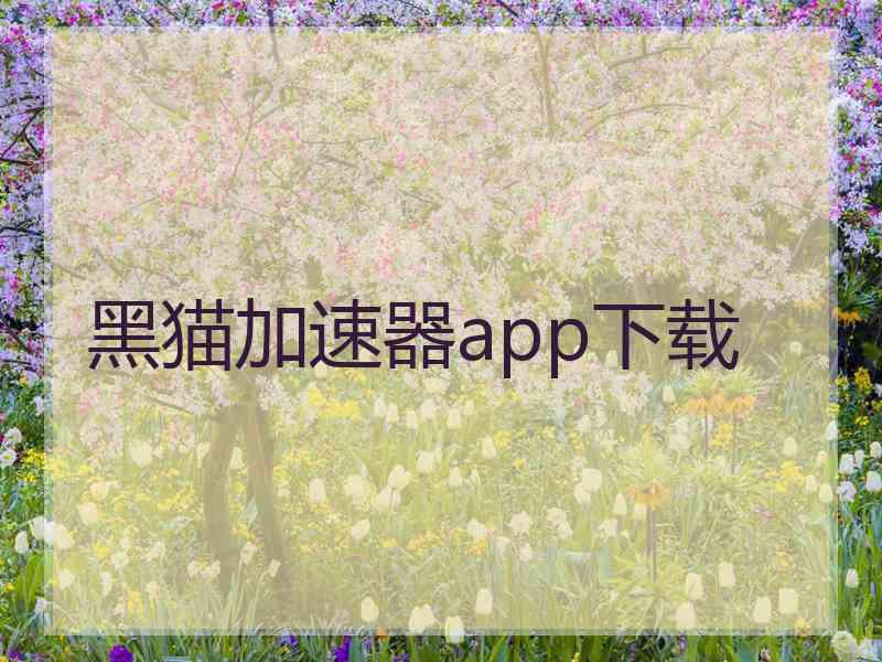 黑猫加速器app下载