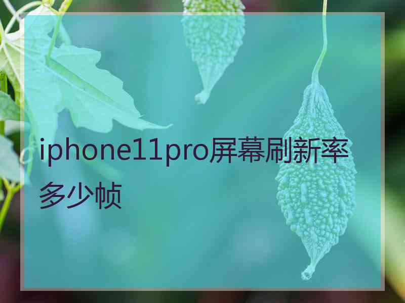 iphone11pro屏幕刷新率多少帧