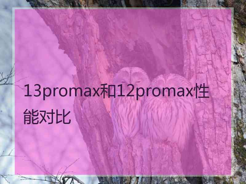 13promax和12promax性能对比