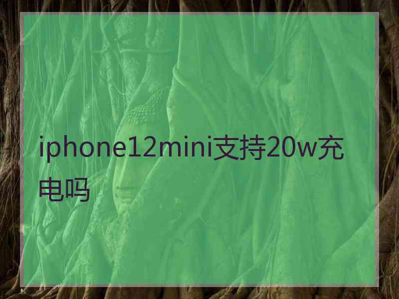 iphone12mini支持20w充电吗