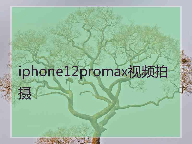 iphone12promax视频拍摄