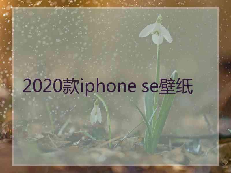 2020款iphone se壁纸