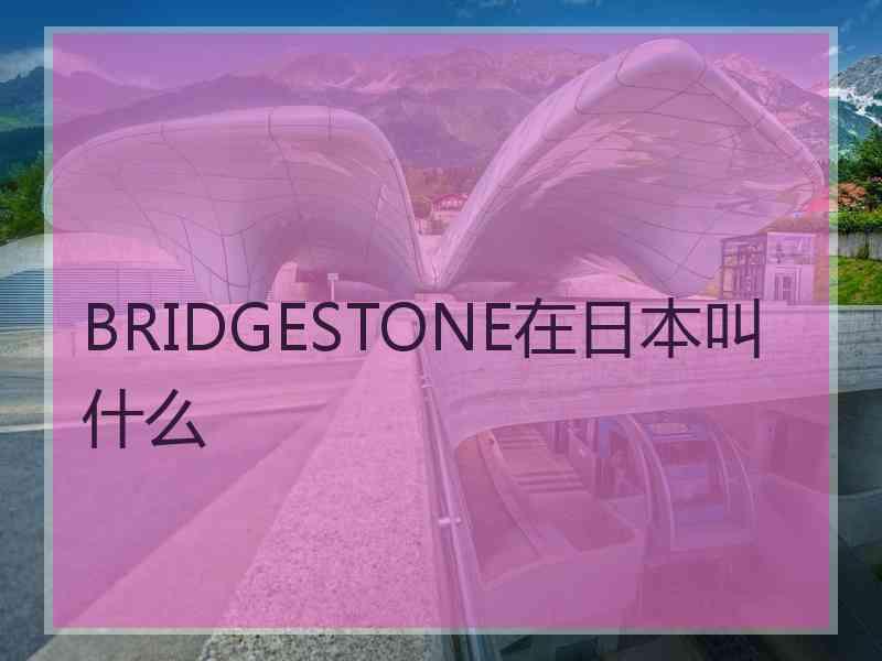 BRIDGESTONE在日本叫什么