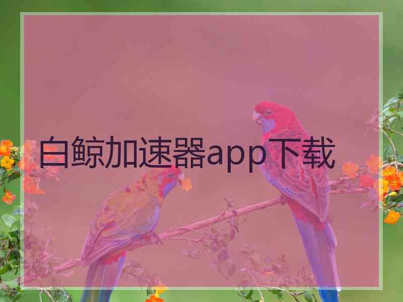 白鲸加速器app下载