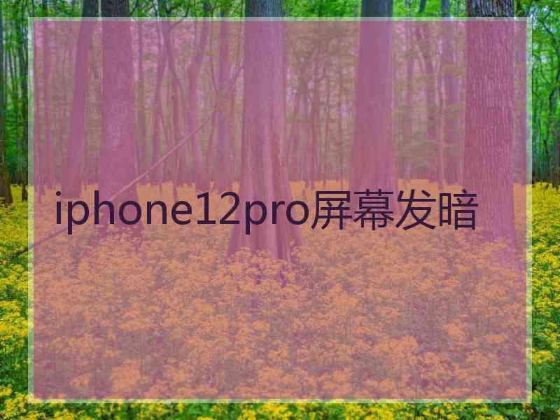 iphone12pro屏幕发暗