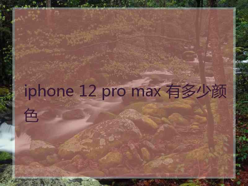 iphone 12 pro max 有多少颜色