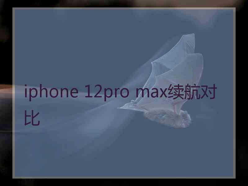 iphone 12pro max续航对比