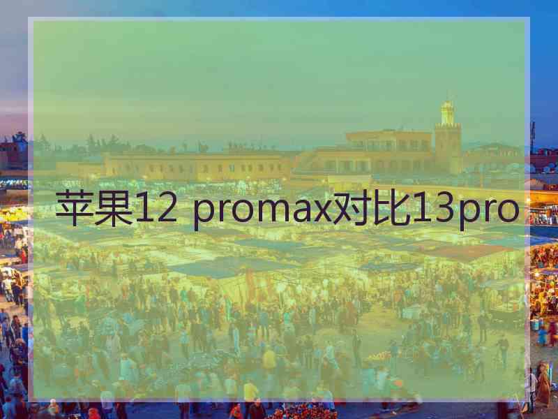 苹果12 promax对比13pro