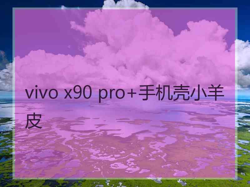 vivo x90 pro+手机壳小羊皮