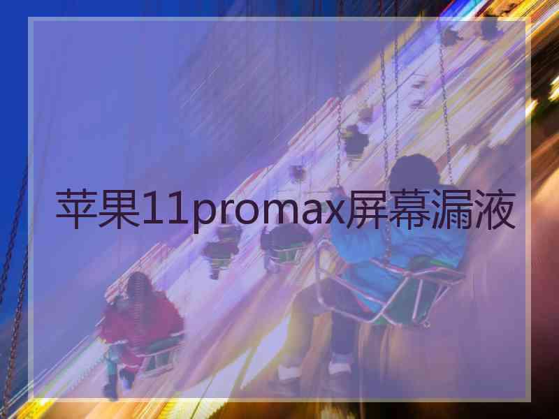 苹果11promax屏幕漏液