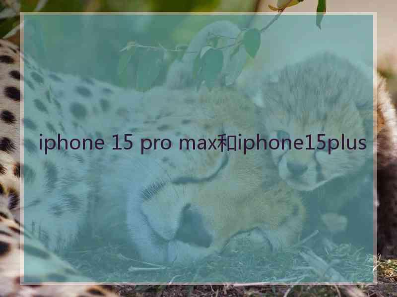 iphone 15 pro max和iphone15plus