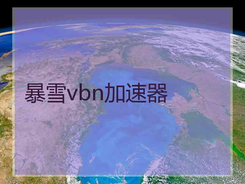 暴雪vbn加速器