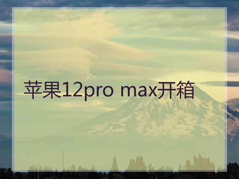 苹果12pro max开箱