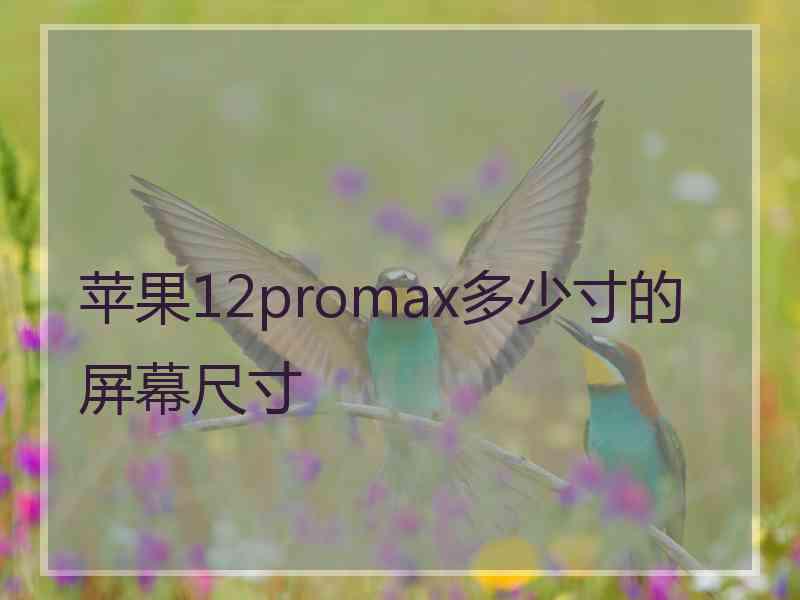 苹果12promax多少寸的屏幕尺寸