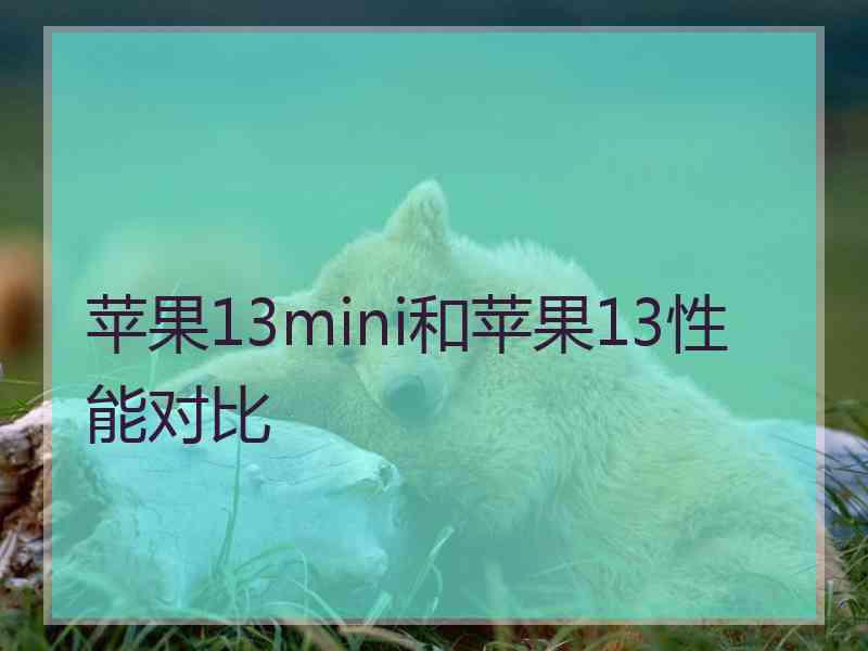 苹果13mini和苹果13性能对比