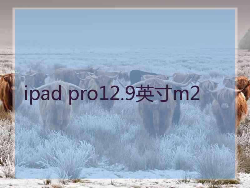 ipad pro12.9英寸m2