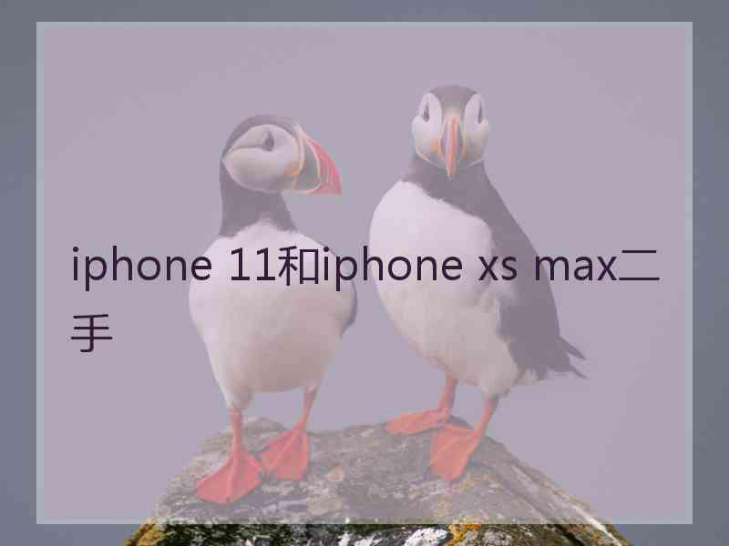 iphone 11和iphone xs max二手