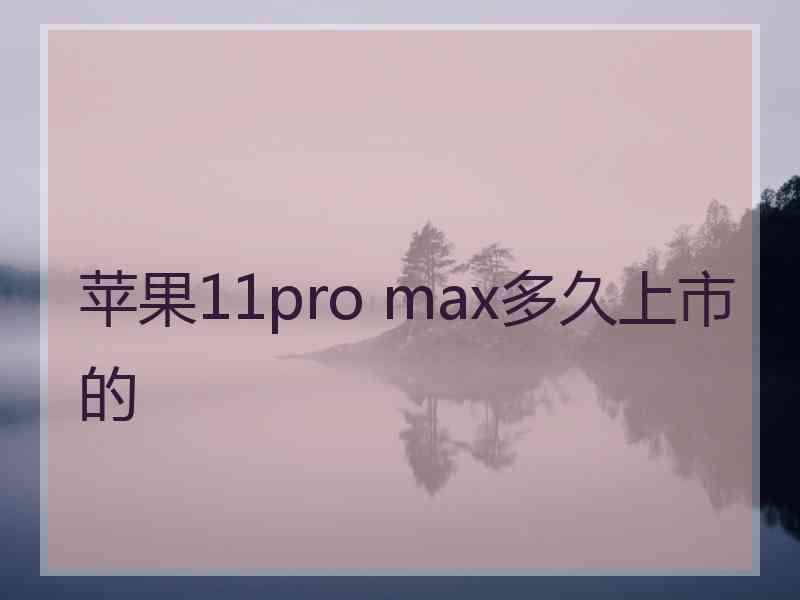 苹果11pro max多久上市的