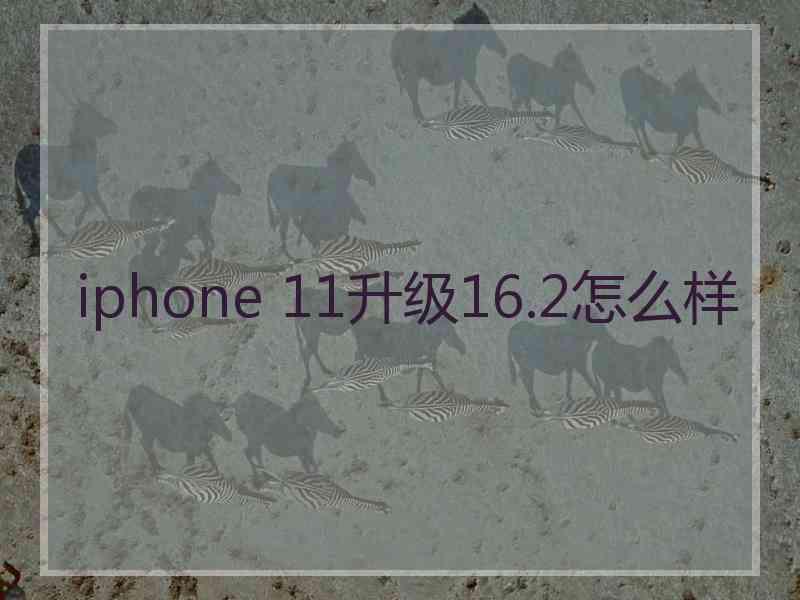 iphone 11升级16.2怎么样