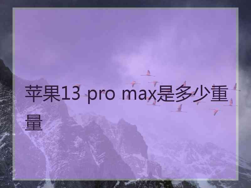 苹果13 pro max是多少重量