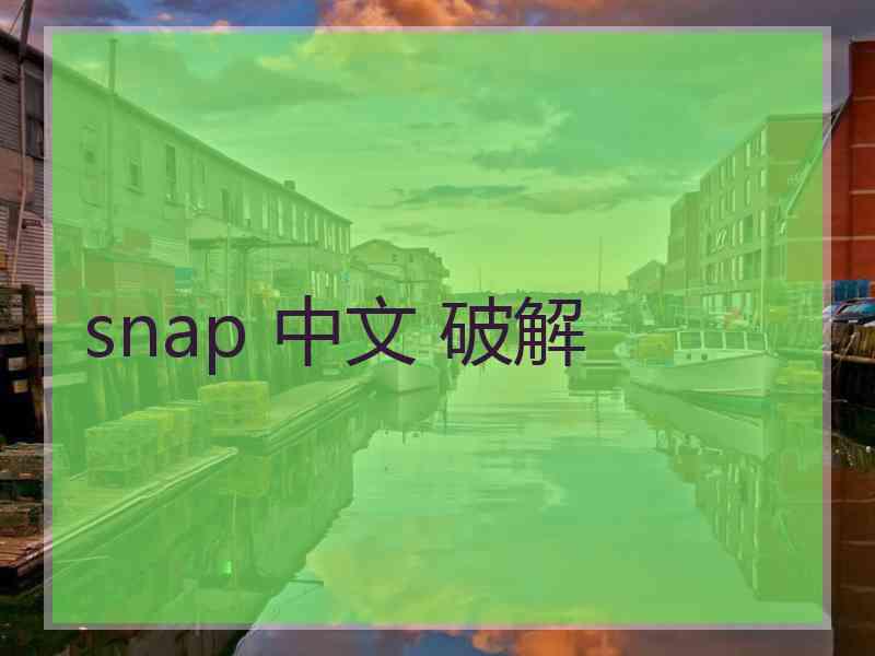 snap 中文 破解