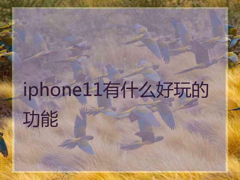 iphone11有什么好玩的功能