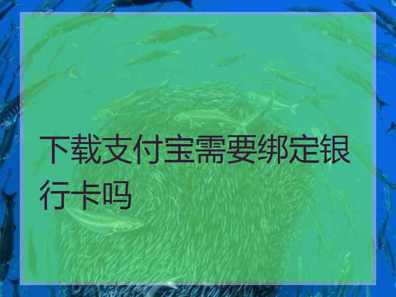 下载支付宝需要绑定银行卡吗