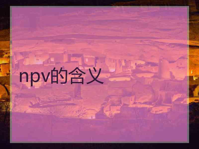 npv的含义