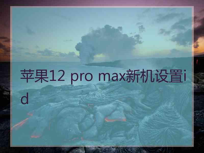 苹果12 pro max新机设置id