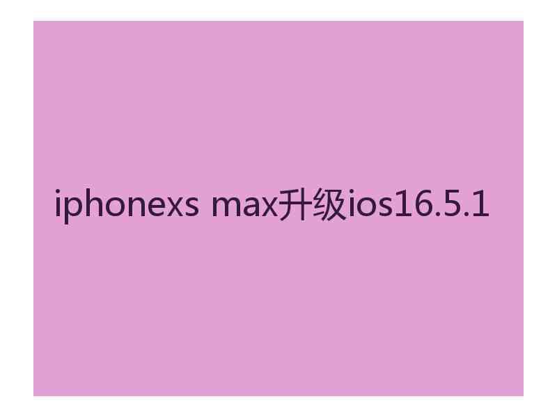 iphonexs max升级ios16.5.1