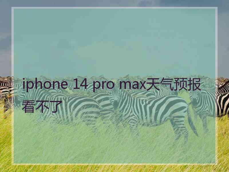 iphone 14 pro max天气预报看不了