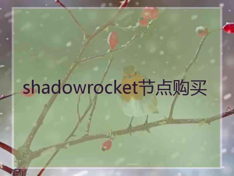 shadowrocket节点购买