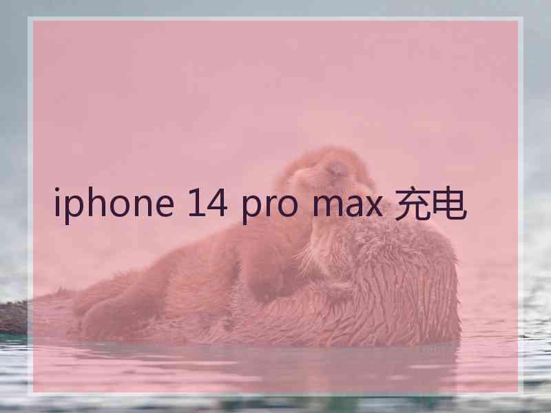 iphone 14 pro max 充电