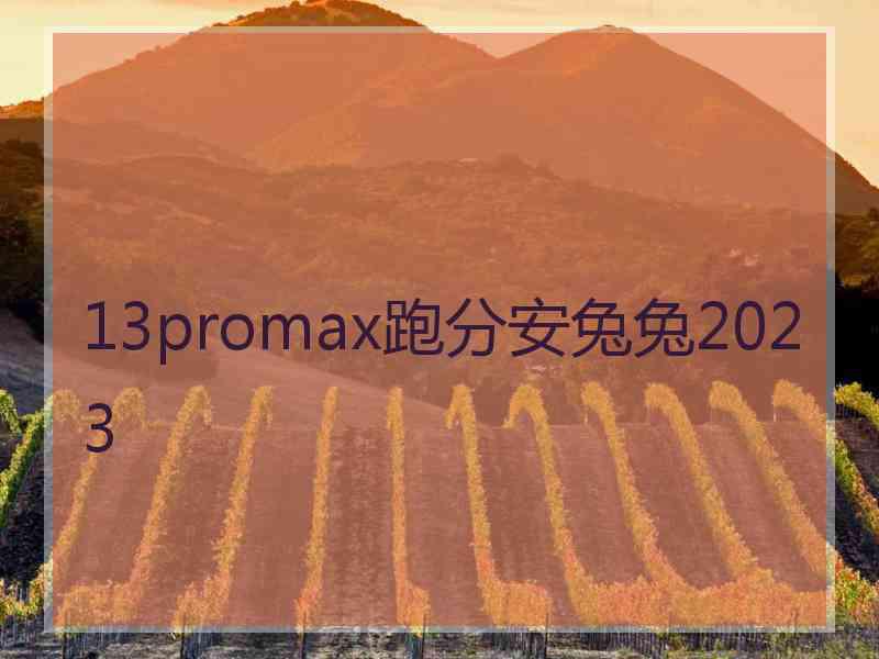 13promax跑分安兔兔2023