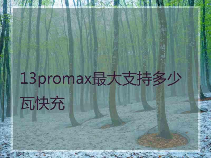 13promax最大支持多少瓦快充