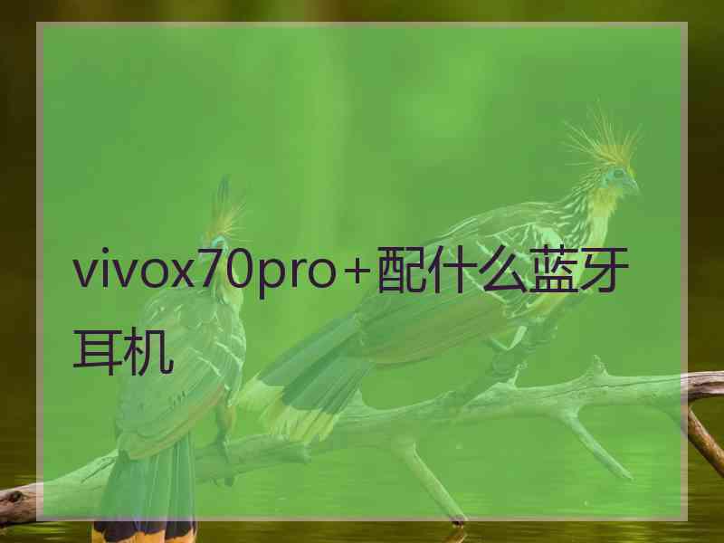 vivox70pro+配什么蓝牙耳机